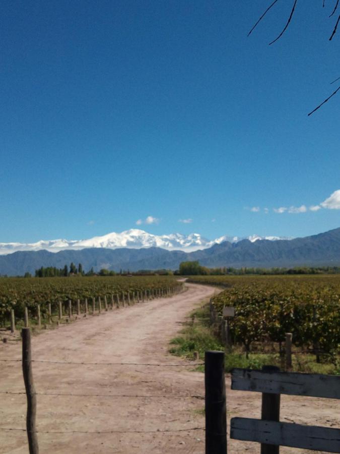 Loft Los Cerezos En Vistalba, Zona De Vinedos Y Bodegas Lujan de Cuyo Exteriör bild